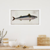 Poster Plaque de maquereau (Scomber Scomber) LIV de 'Icht (Cuisine)