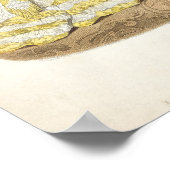 Poster Plaque de mode montrant des robes (Coin)