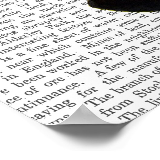 Poster Plaque de papillon 4 (Coin)