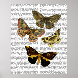 Poster Plaque de papillon 4