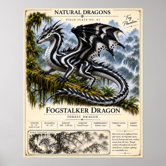 Poster Plaque de terrain de Fogstalker (Devant)