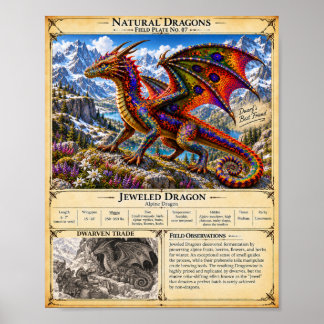 Poster Plaque de terrain du dragon gemmé