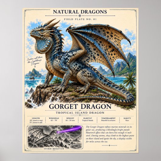 Poster Plaque de terrain du dragon Gorget (Devant)