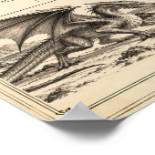 Poster Plaque de terrain Duskfire (Coin)