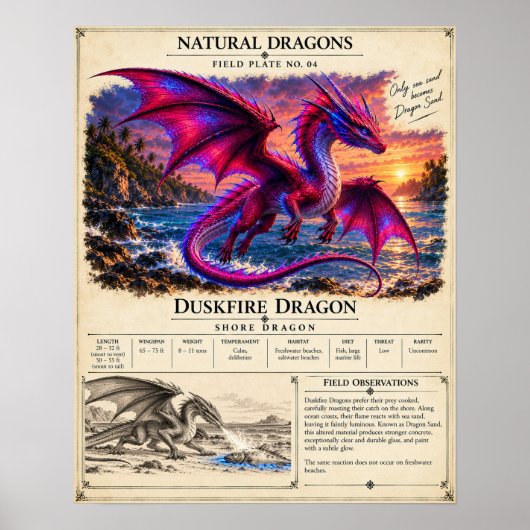 Poster Plaque de terrain Duskfire (Devant)