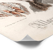 Poster Plaque mode (Coin)