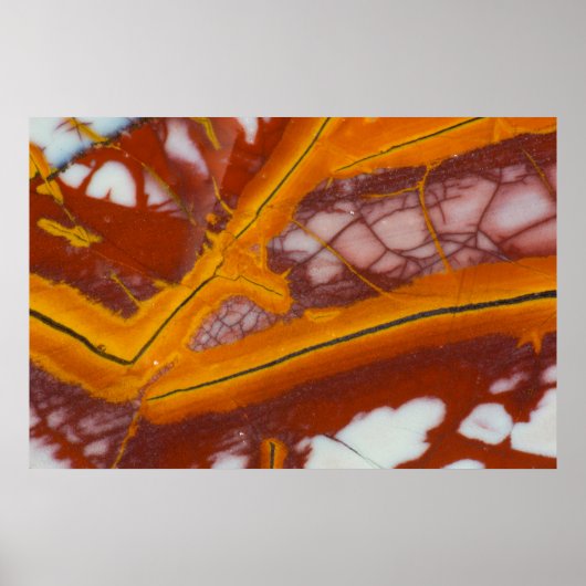 Poster Plaque rocheuse Noreena Jasper (Devant)