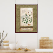 Poster Plaque Voynich 10 (Cuisine)