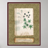 Poster Plaque Voynich 12 (Devant)