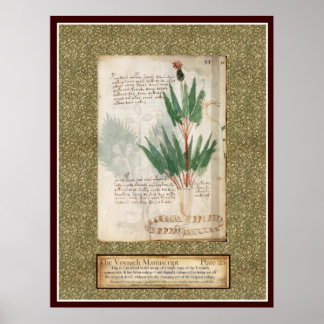 Poster Plaque Voynich 25