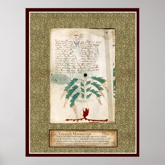 Poster Plaque Voynich 27 (Devant)