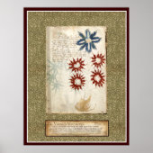 Poster Plaque Voynich 30 (Devant)