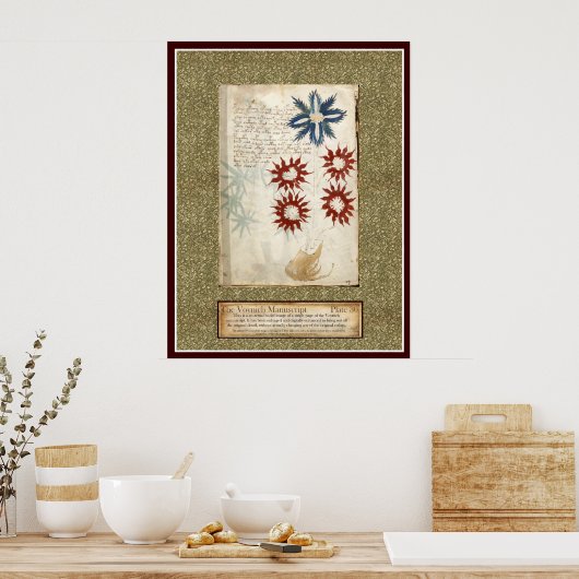 Poster Plaque Voynich 30 (Cuisine)