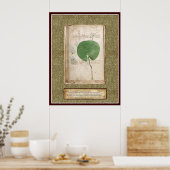 Poster Plaque Voynich 4 - Illustration botanique (Cuisine)