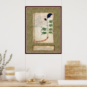Poster Plaque Voynich 6 (Cuisine)