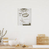 Poster Plaque XX : La propagation et le fonctionnement de (Cuisine)