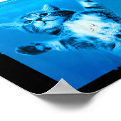 Poster Plaques Cat Et Souris Haut (Coin)