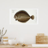 Poster Plate de turbot (Pleuronectes Maximus) XLIX de 'Ic (Cuisine)