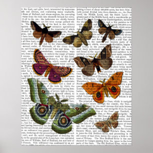 Poster Plate-forme 2