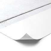 Poster Plate II de cafard (Cyprinus Rutilis) de 'Ichthyol (Coin)