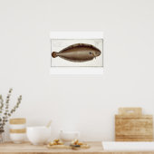 Poster Plate XLV de Solea Solaea de 'Ichthyol (Cuisine)