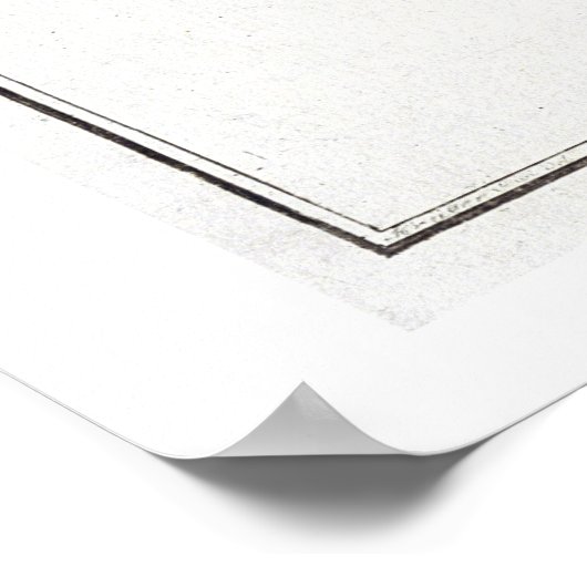 Poster Plate XLV de Solea Solaea de 'Ichthyol (Coin)