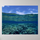 Poster Plateau de corail (Devant)