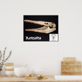 Poster Platecarpus Mosasaur crâne (Cuisine)