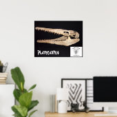 Poster Platecarpus Mosasaur crâne (Bureau à domicile)