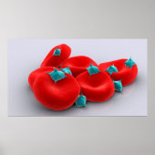 Poster Platelets Avec Cellules De Sang Rouge 1 (Devant)
