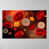 Poster Platelets Avec Cellules De Sang Rouge 2 (Devant)