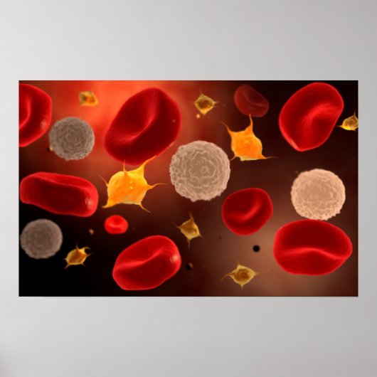Poster Platelets Avec Cellules De Sang Rouge 2 (Devant)