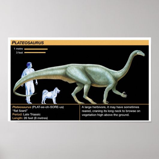Poster Plateosaurus - Biology Jurassic (Devant)