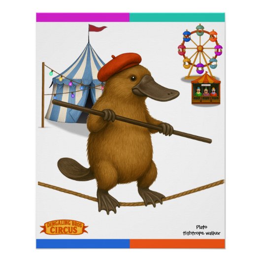Poster Platon ornithorynque, funambule (Devant)