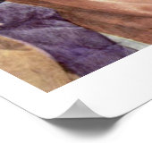 Poster Platon Par Raffael (Coin)