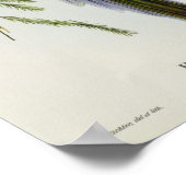 Poster Platycercus Icterotis (Coin)