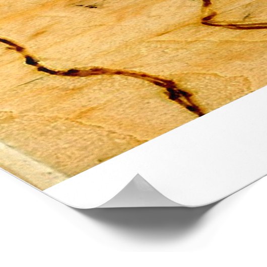 Poster Platype (Coin)