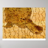 Poster Platype (Devant)