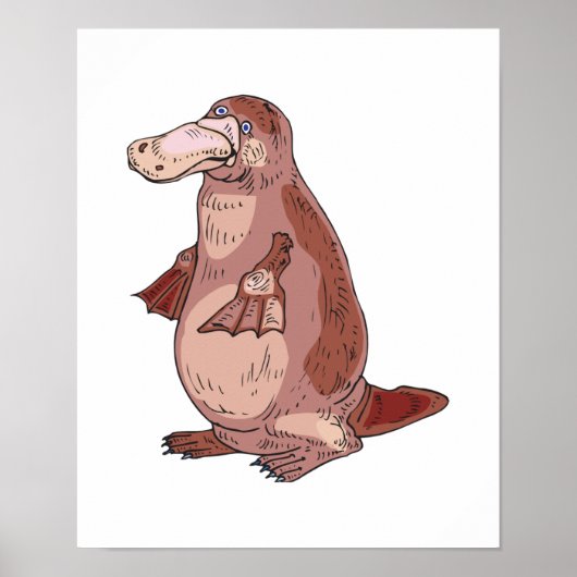Poster platypus (Devant)