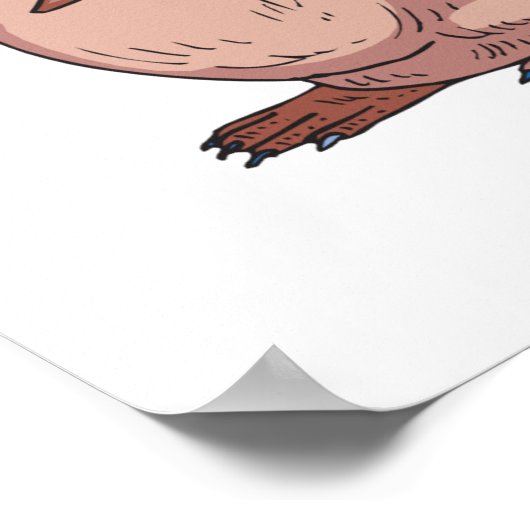 Poster platypus (Coin)