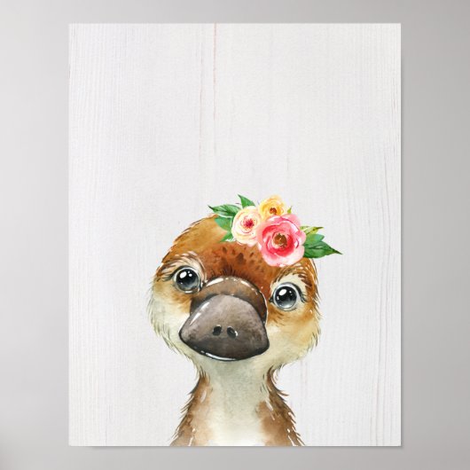 Poster Platypus Bébé Fleuris Aquarelle Animaux Australien (Devant)