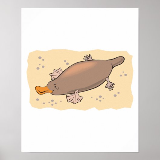 Poster Platypus mignon dans le sable (Devant)