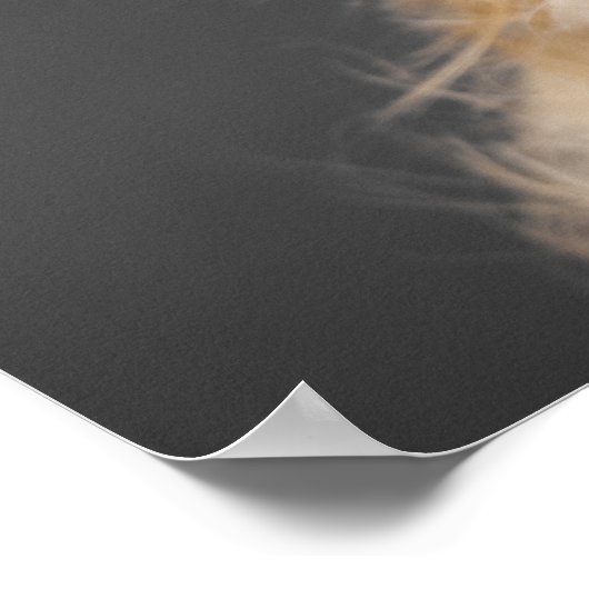 POSTER PLAY FIVE DAYS A WEEK (Coin)