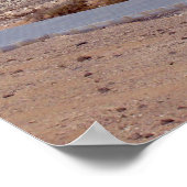 Poster Playa de Sotavento en Fuerteventura (Coin)