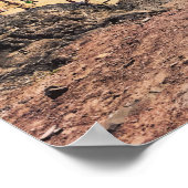 Poster Playa del Papagayo, côte sud de Lanzarote (Coin)