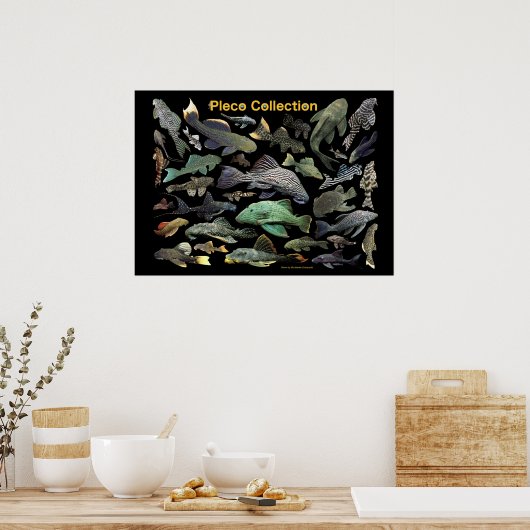 Poster Plecoの仲間のポスター,No.01 (Cuisine)