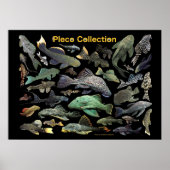 Poster Plecoの仲間のポスター,No.01 (Devant)