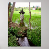 Poster plein (18" x 24") Rice field Temple Bali