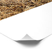 Poster plein dans le champ (Coin)