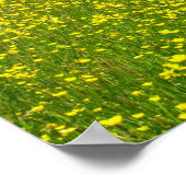 Poster Pleine floraison (Coin)